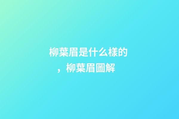 柳葉眉是什么樣的，柳葉眉圖解